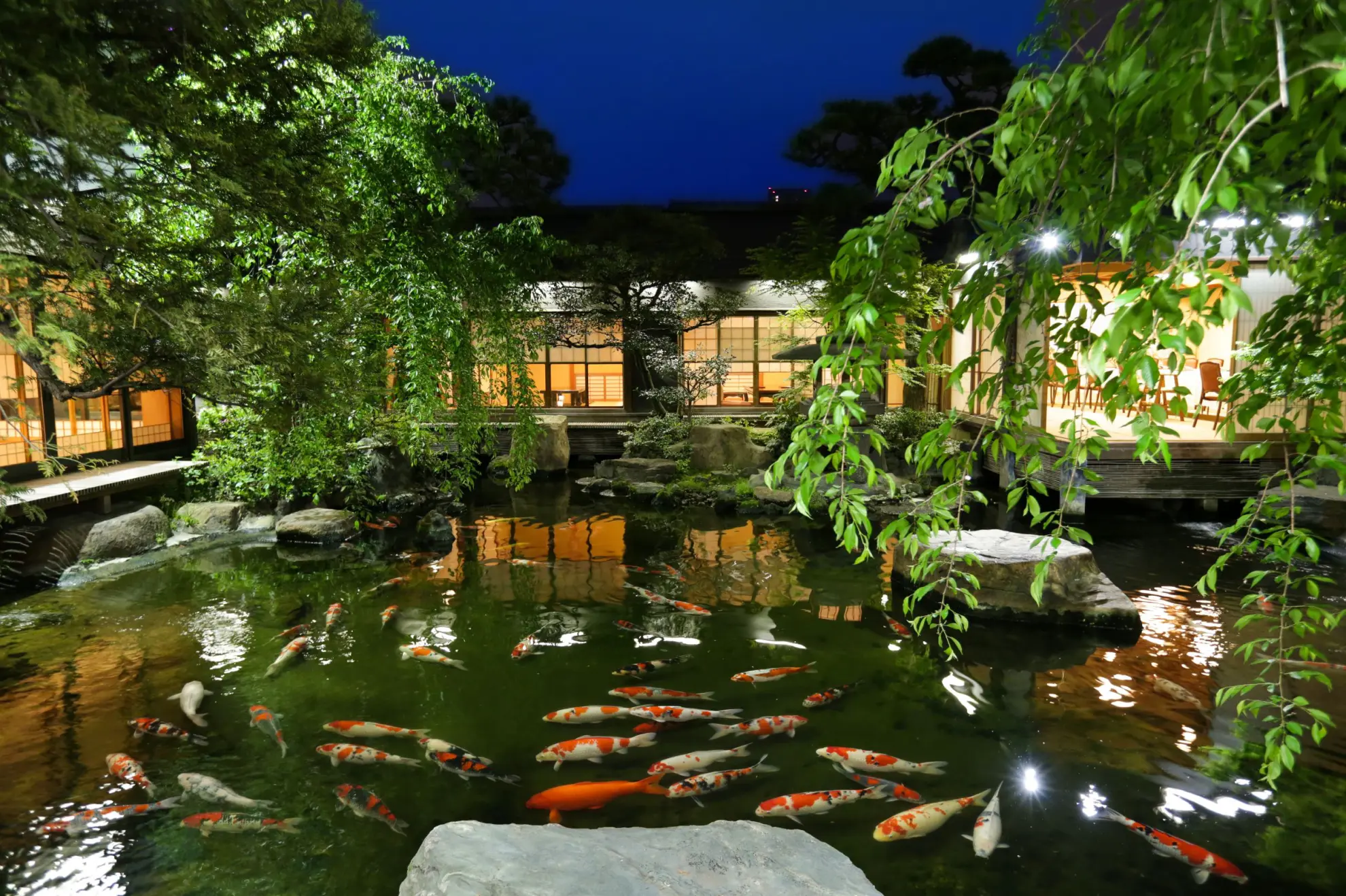 治作の鯉 | つきじ治作【公式】料亭 | 東京銀座の奥座敷 築地の老舗