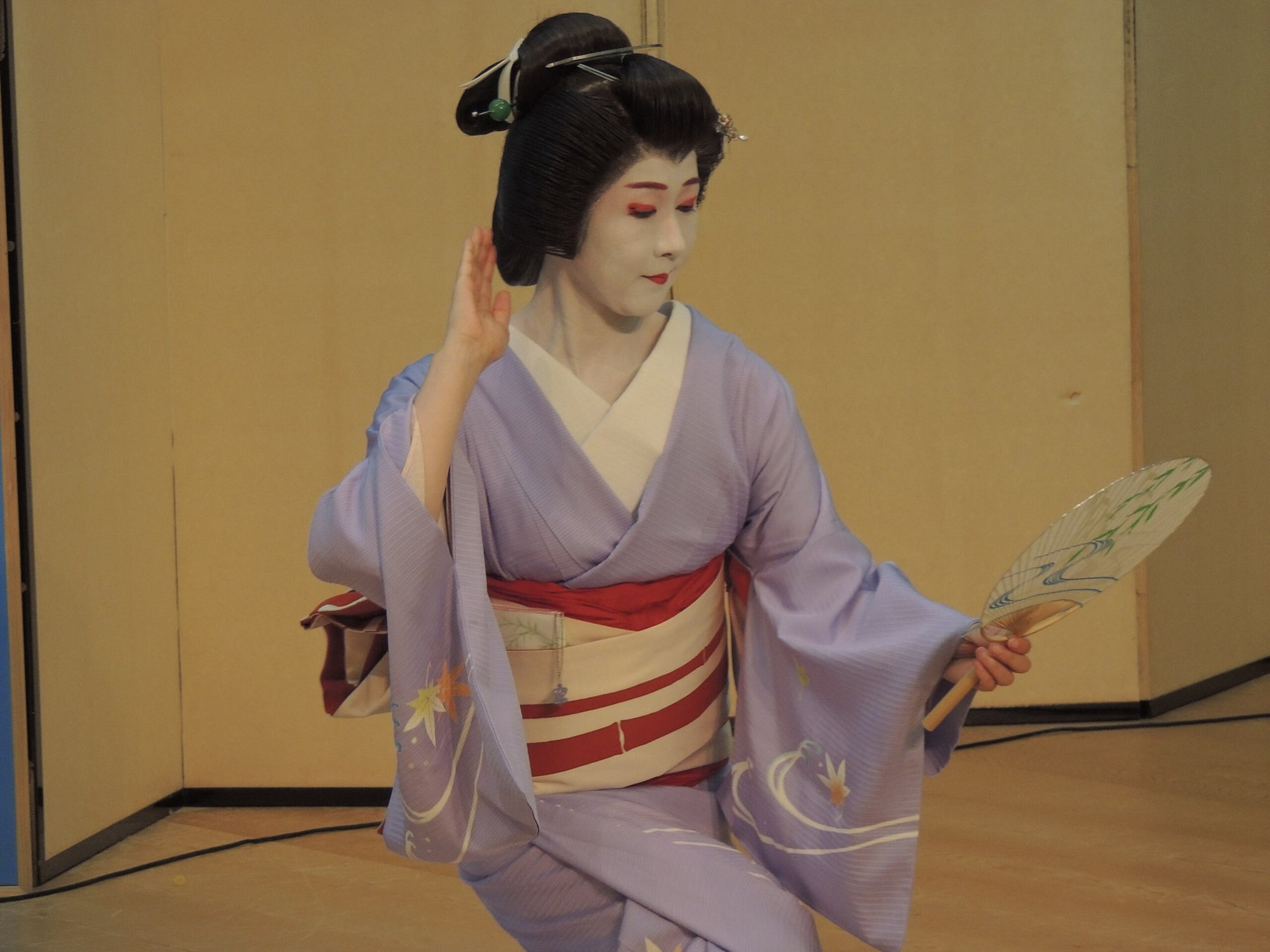 芸者プラン