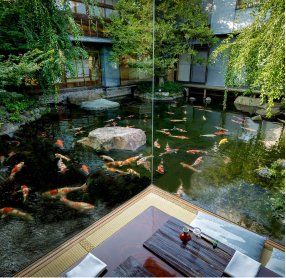 錦鯉が泳ぐ日本庭園