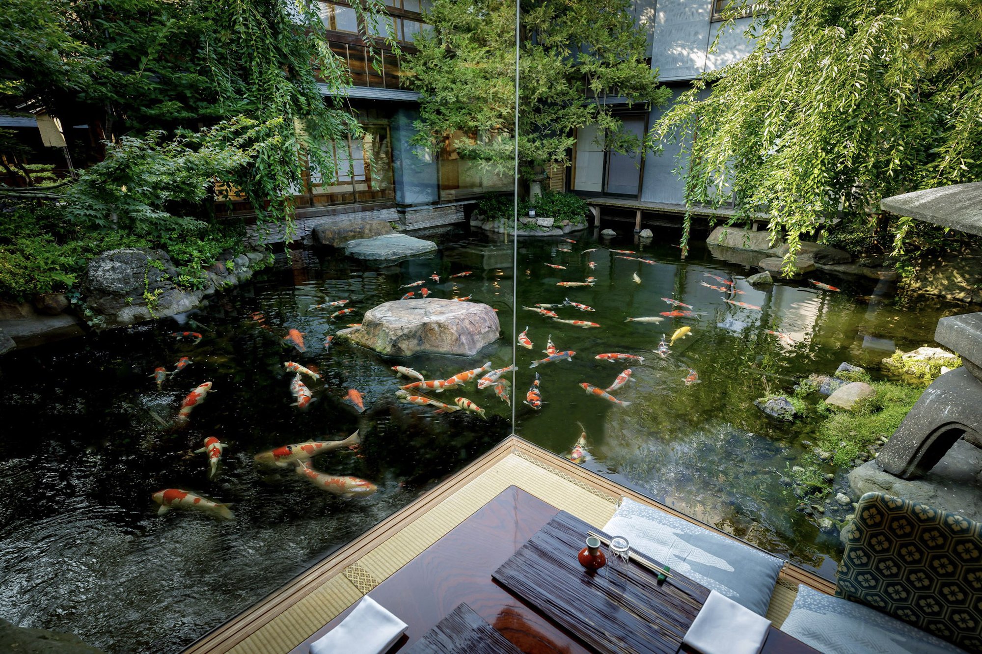 池を泳ぐ錦鯉と庭園