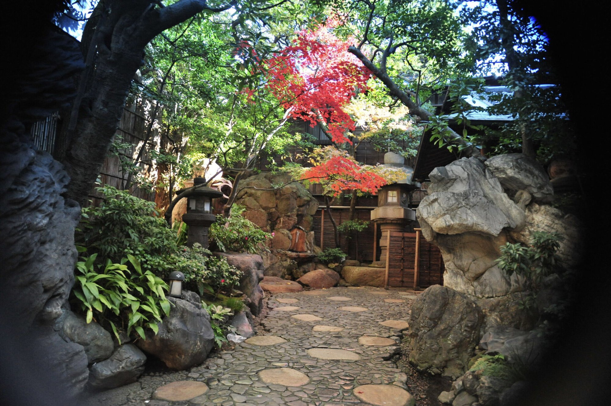 秋の紅葉と石畳の庭